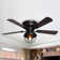 Pickard 42'' Ceiling Fan with Light Kit