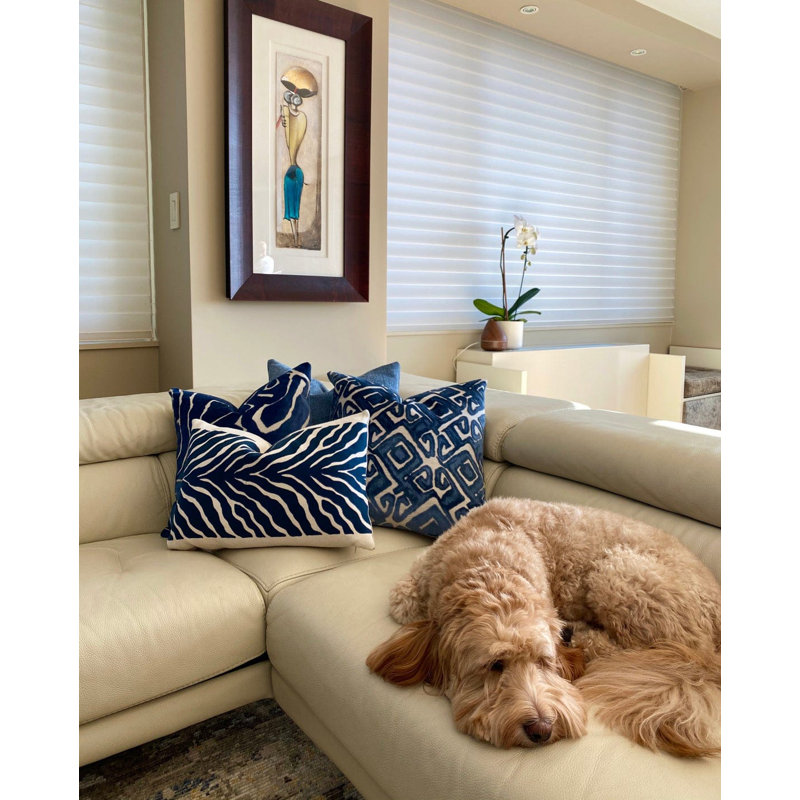 Housse de coussin Zebra, 14 po x 20 po