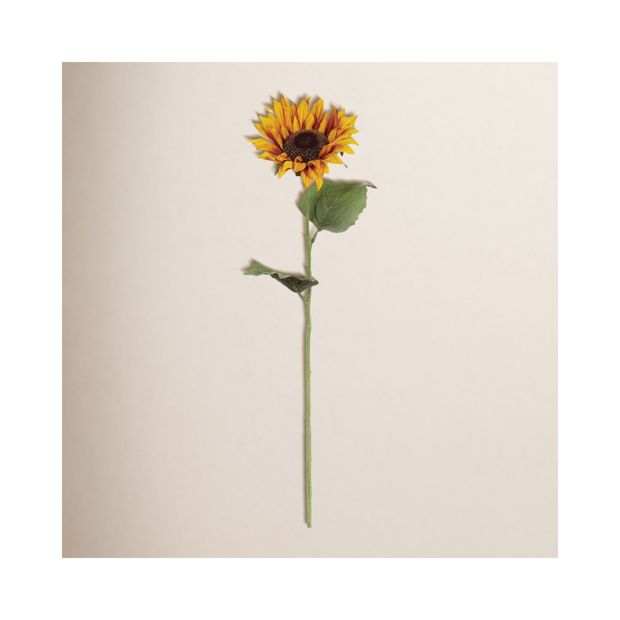 Kanode Sunflower Stem, 24" H x 6.5" W x 4" D