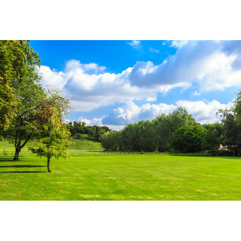 Green Field by Voyagerix - Wrapped Canvas Print, 30cm H x 46cm W