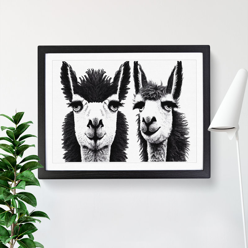 Flawless Llamas - Single Picture Frame Print, Black Framed, 25cm H x 34cm W x 2cm D