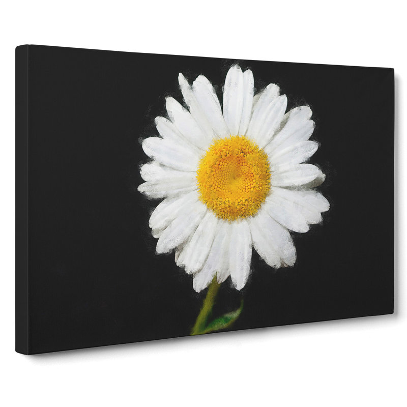 White Daisy Vol.6 - Wrapped Canvas Print, 40cm H x 60cm W x 3cm D