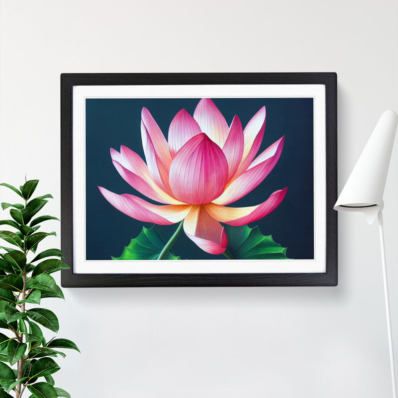 Fanciful Lotus Flower - Single Picture Frame Print, 46cm H x 64cm W x 2cm D, Black