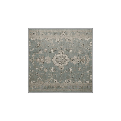 Machine Washable Gray Area Rug