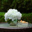Arrangement d'hortensias dans un vase-88514612