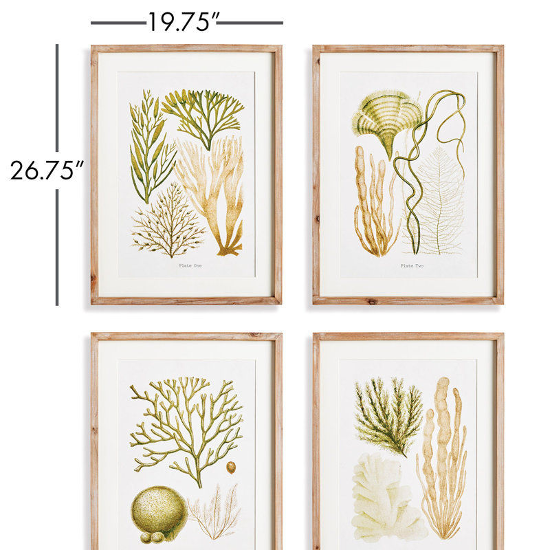 Verdant Coral Study Prints