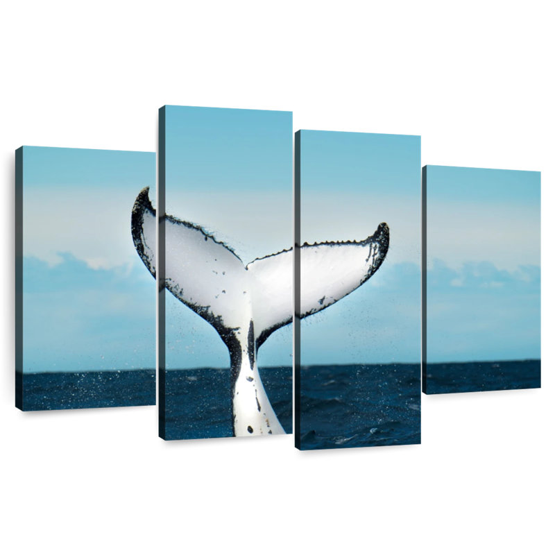 Baleine Brampt, H 48 po x l 75 po