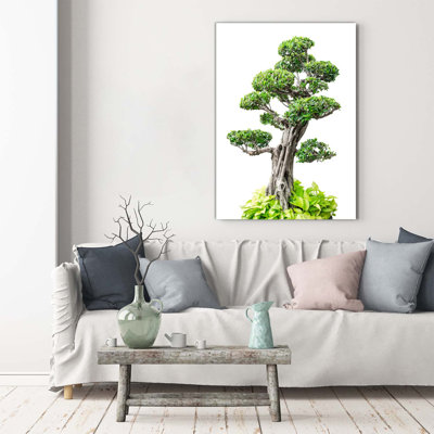 Bonsai Tree - Wrapped Canvas Print