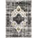 Oriental Indoor Rug