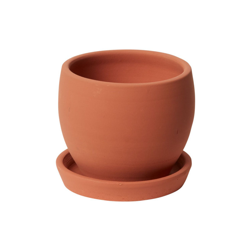 Pot de fleurs en céramique Elisabeth, H 5 po x l 4,75 po x P 4,75 po