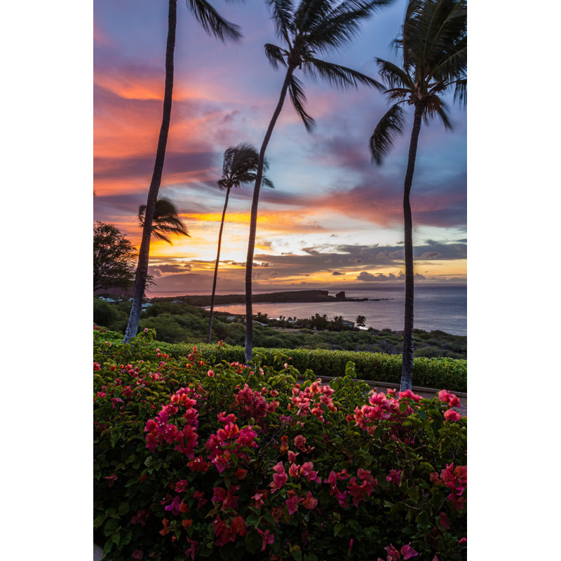 Sunrise by Unkown - Wrapped Canvas Print, 46cm H x 30cm W