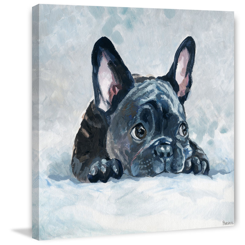 Afraid Bulldog by Parvez Taj - Wrapped Canvas Painting, 45 cm H x 45 cm W x 3.81 cm D
