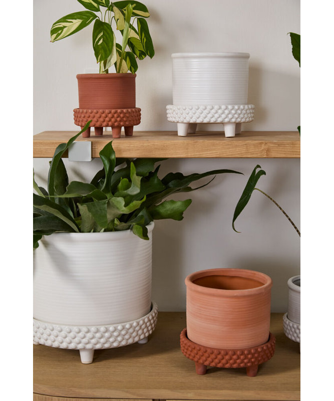 L Round Footed Terracotta "Samara" Planter Pot, 6'' H x 6.25'' W x 6.25'' D, Orange