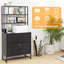 Jaceyon 25.6 Wide 2 -Drawer File Cabinet