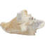 Parodi Animals Figurines & Sculptures-159652149