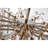 Light Ice Monique Chandelier-1519844713-1519844718-1477220856