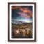King Penguins & Mountains - Framed Print-56853263-56853264