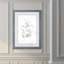 « ethereal eucalyptus ii »-impression du cadre sur verre-316484353-316484409