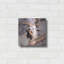 «Brown Goat» par Donnie Quillen-786500949