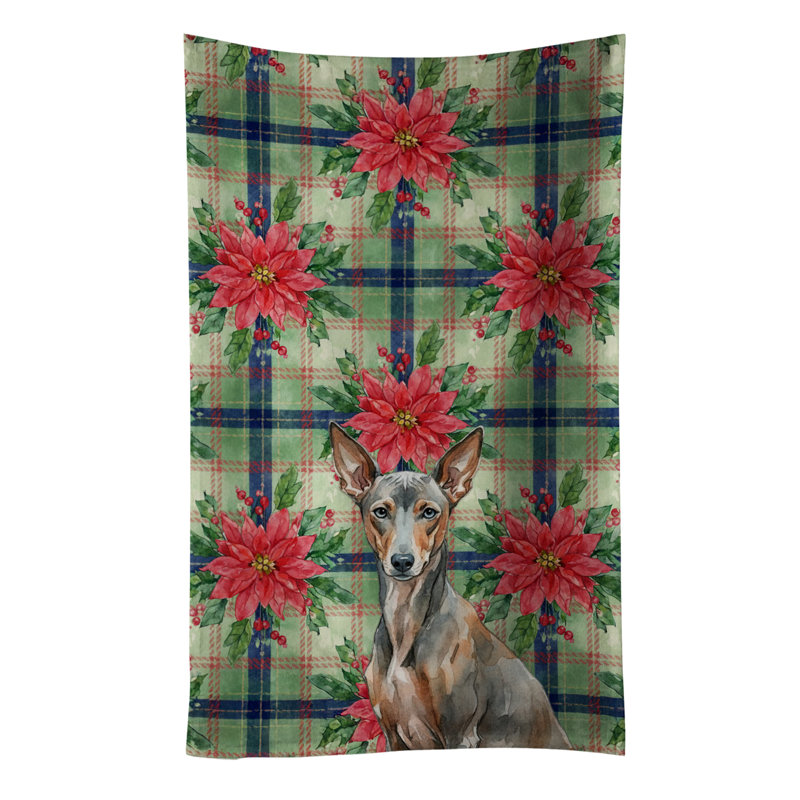 Xoloitzcuintli Christmas PoinsettIas Kitchen Towel, Gray/Brown Xoloitzcuintli