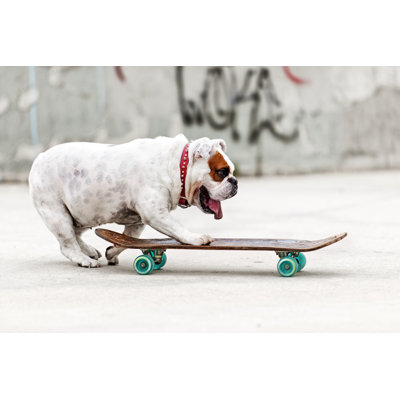 Dog Skateboarding par Lisegagne