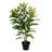 34 " H Faux Foliage Tree in Plastic Pot
