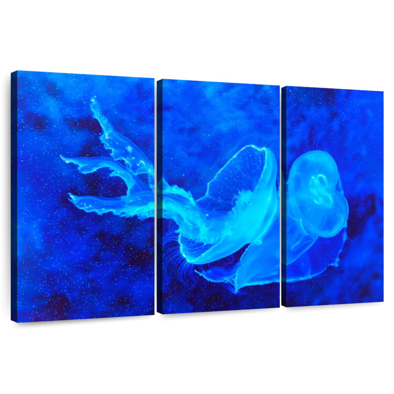 Bell Shaped Jellyfish, 24" H x 38" W