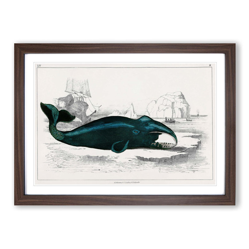 Beached Whale by Oliver Goldsmith - Single Picture Frame Painting, Walnut Framed, 33cm H x 45cm W x 2cm D