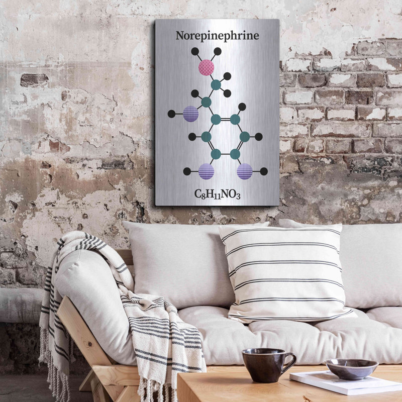 Trinx «Norepinephrine Molecule» par Luxe Portfolio, art mural en métal, H 36 po x l 24 po