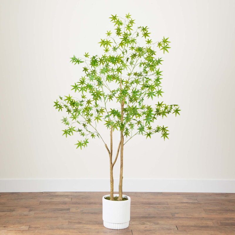 6ft. Artificial Maple Tree with White Planter