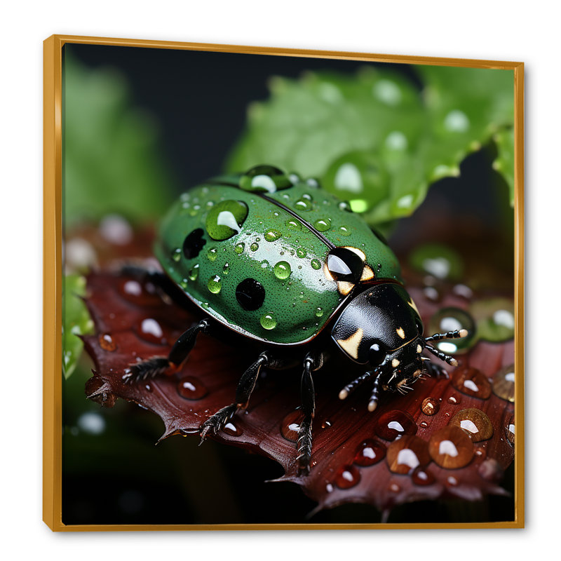 «Enchanted Ladybug Forest» sur toile, H 36 po x l 36 po x P 1,5 po, Cadre flottant doré