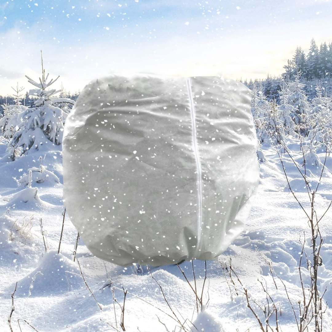 Abdala Plant Cover Arlmont & Co.