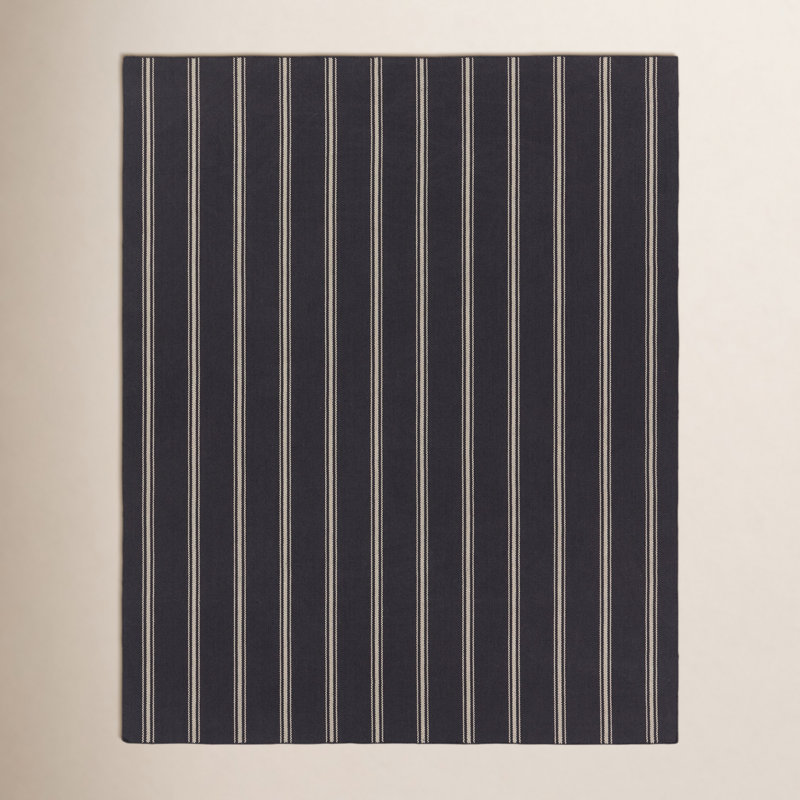 Edora Striped Indoor / Outdoor Rug, Rectangle 2' x 3'