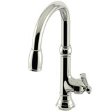 Jacobean Single Handle Pull Down Kitchen Faucet