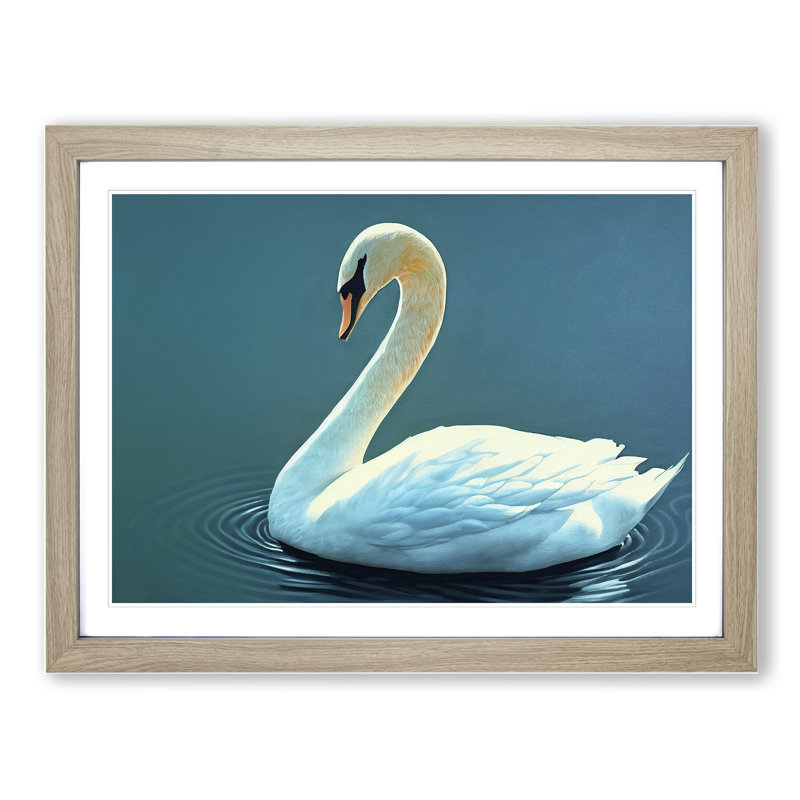 Luscious Swan - Single Picture Frame Print, 25cm H x 34cm W, Grey