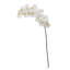 Fabric and Silk Faux Floral Arrangement-55559035