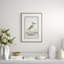 Bird Drawings, Circa 1777 Giclee Print by Robert J. Gordon