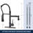 AlenArtWater Pull Down Kitchen Faucet