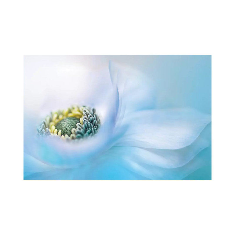 Flow by Jacky Parker - Wrapped Canvas Print, 66.04 cm H x 45.72 cm W x 3.175 cm D