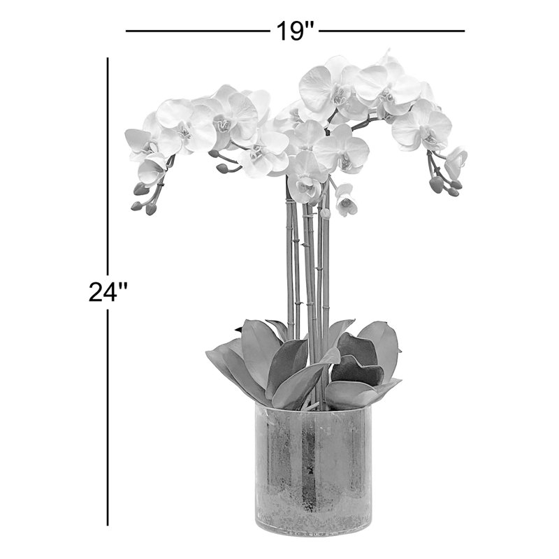 Phalaenopsis Orchid In A Glass Vase
