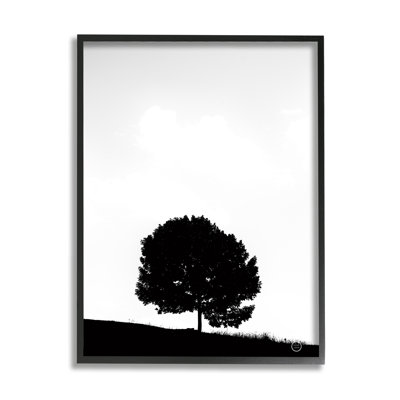 Sycomore minimaliste, silhouette, noir, blanc, photographie sur giclée par Nathan Larson