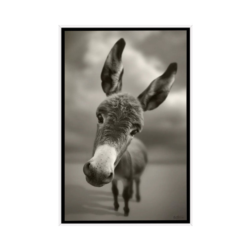 Hey There by Ben Heine - Print on Canvas, 101.6 cm H x 66.04 cm W, White Framed