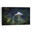 Solitary Forest Mushroom Delicate Organic Peaceful Moss Forest Nature Wall Art Print-786616993
