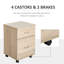 Caples 2 -Drawer Filing Storage Cabinet-25407692