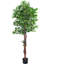Ficus artificiel en pot par Maydear-61565252