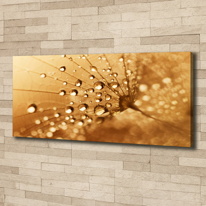Dandelion - Wrapped Canvas Print