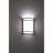 Lola Wall Sconce - Bronze Finish