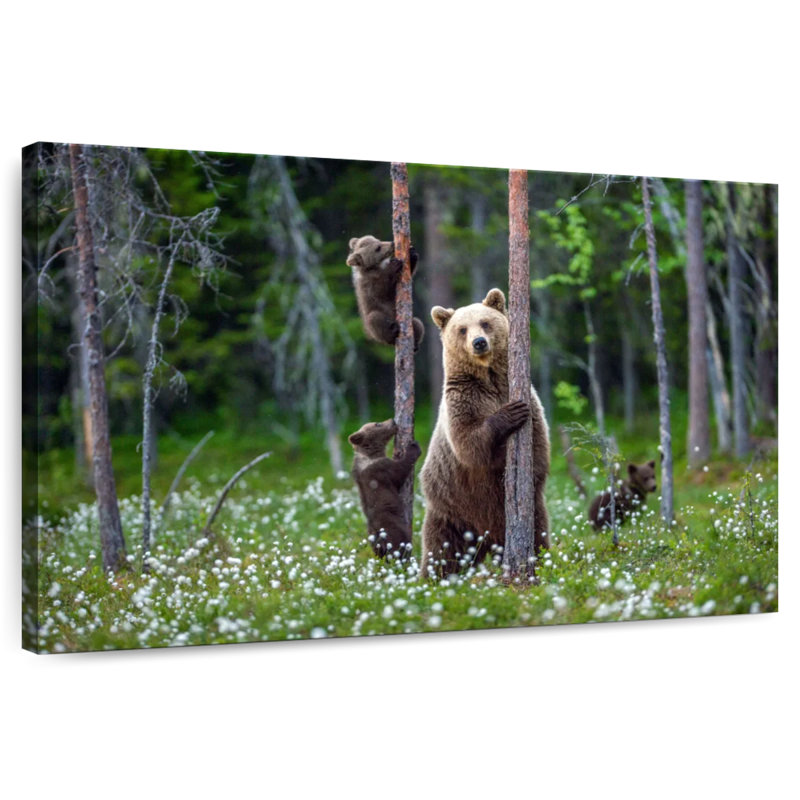 Brampt Grizzly Bear Group, 16" H x 24" W