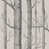 Linen/Charcoal selected