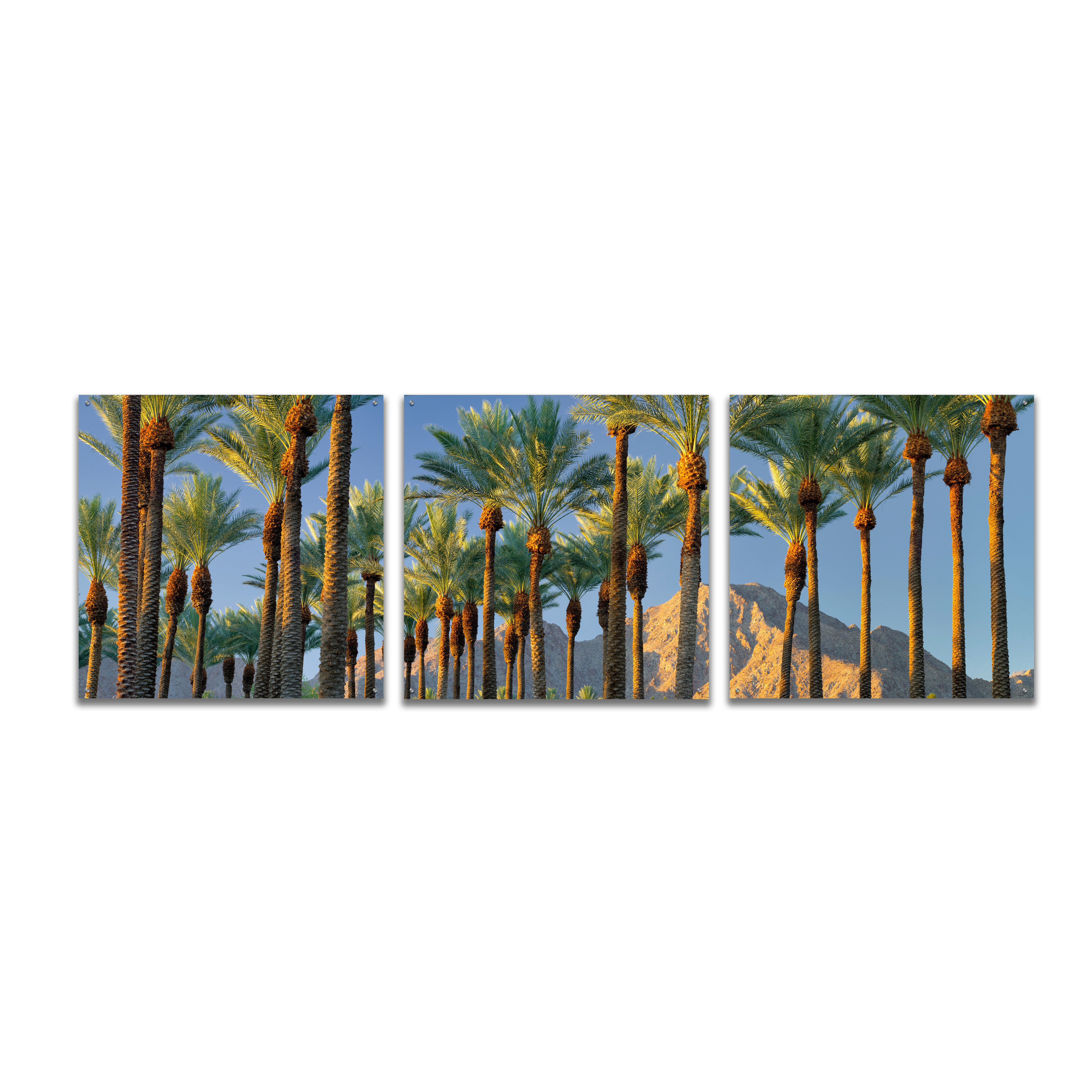 Epic Art 'Trees' by Dennis Frates, Acrylic Glass Wall Art, 3 Piece Set ...